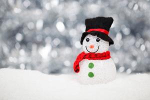 Schneemann der BSG BWB e.V. Schneemann